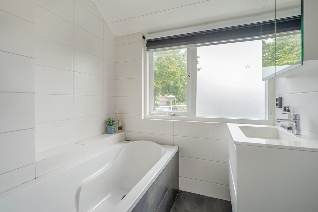 Photo 17 of van Ostade 3