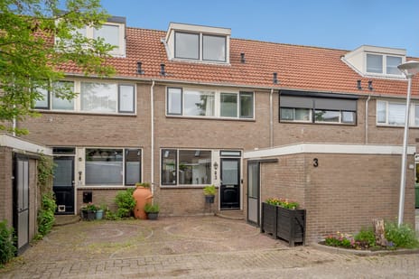 van Ostade thumbnail
