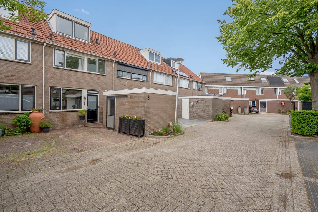 Photo 31 of van Ostade 3