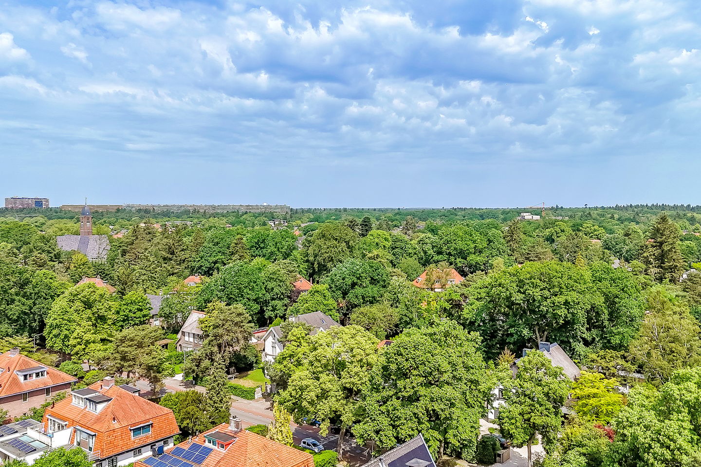 Photo 79 of Kritzingerlaan 61