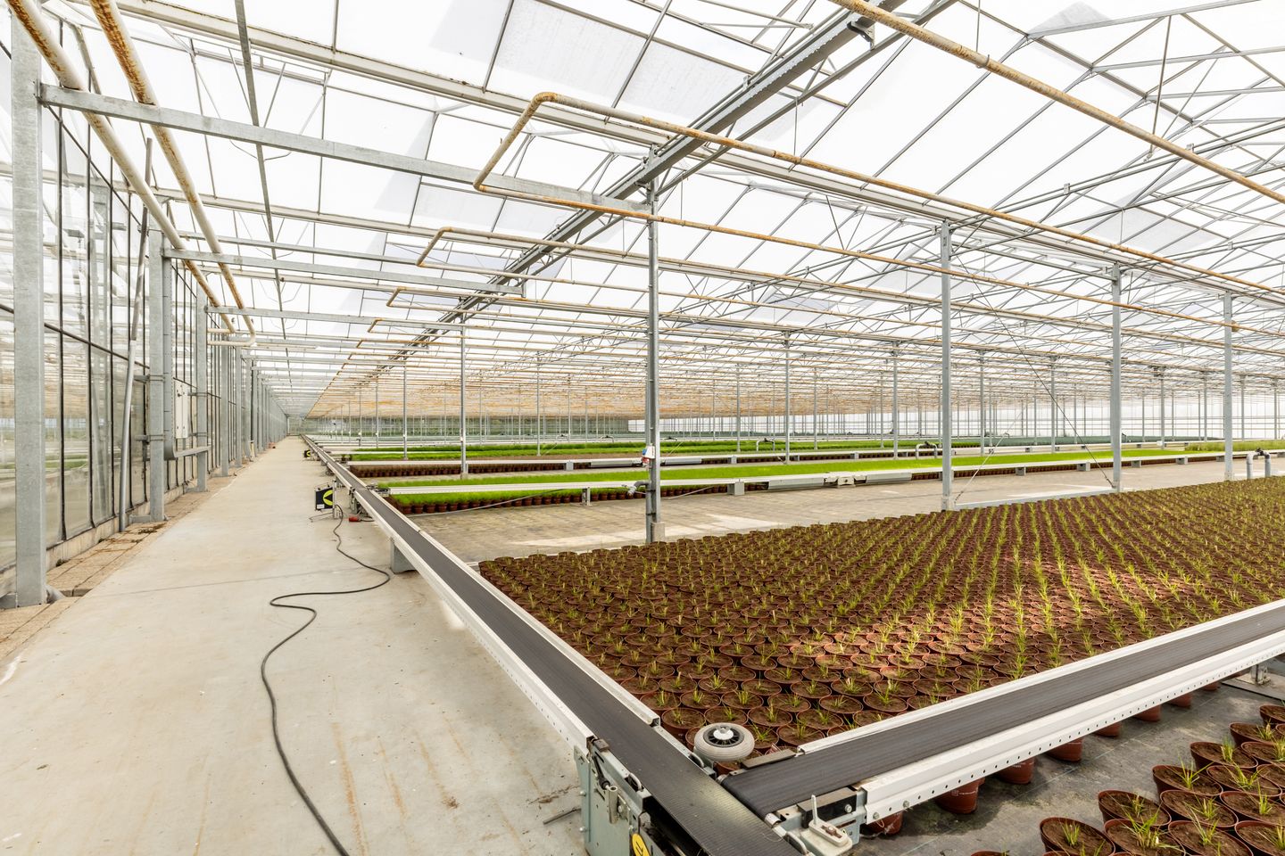 Tuinbouwweg 1-D - Haarsteeg - Afbeelding 6