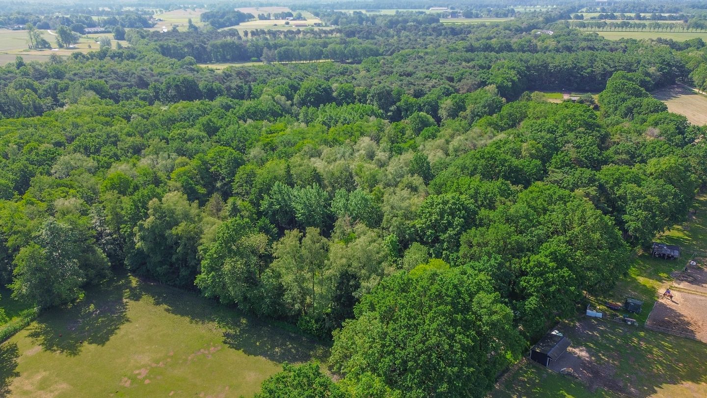 Bekijk foto 3 van Kluizerdijk