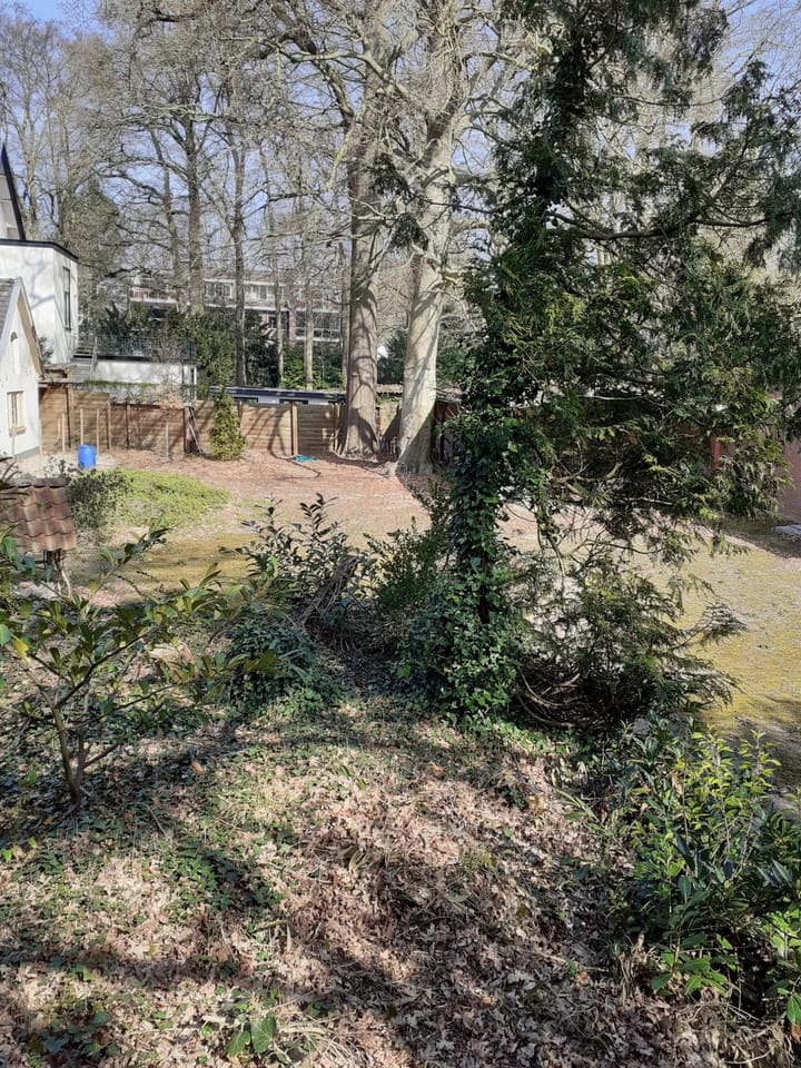 Foto 5 van Berkenlaan