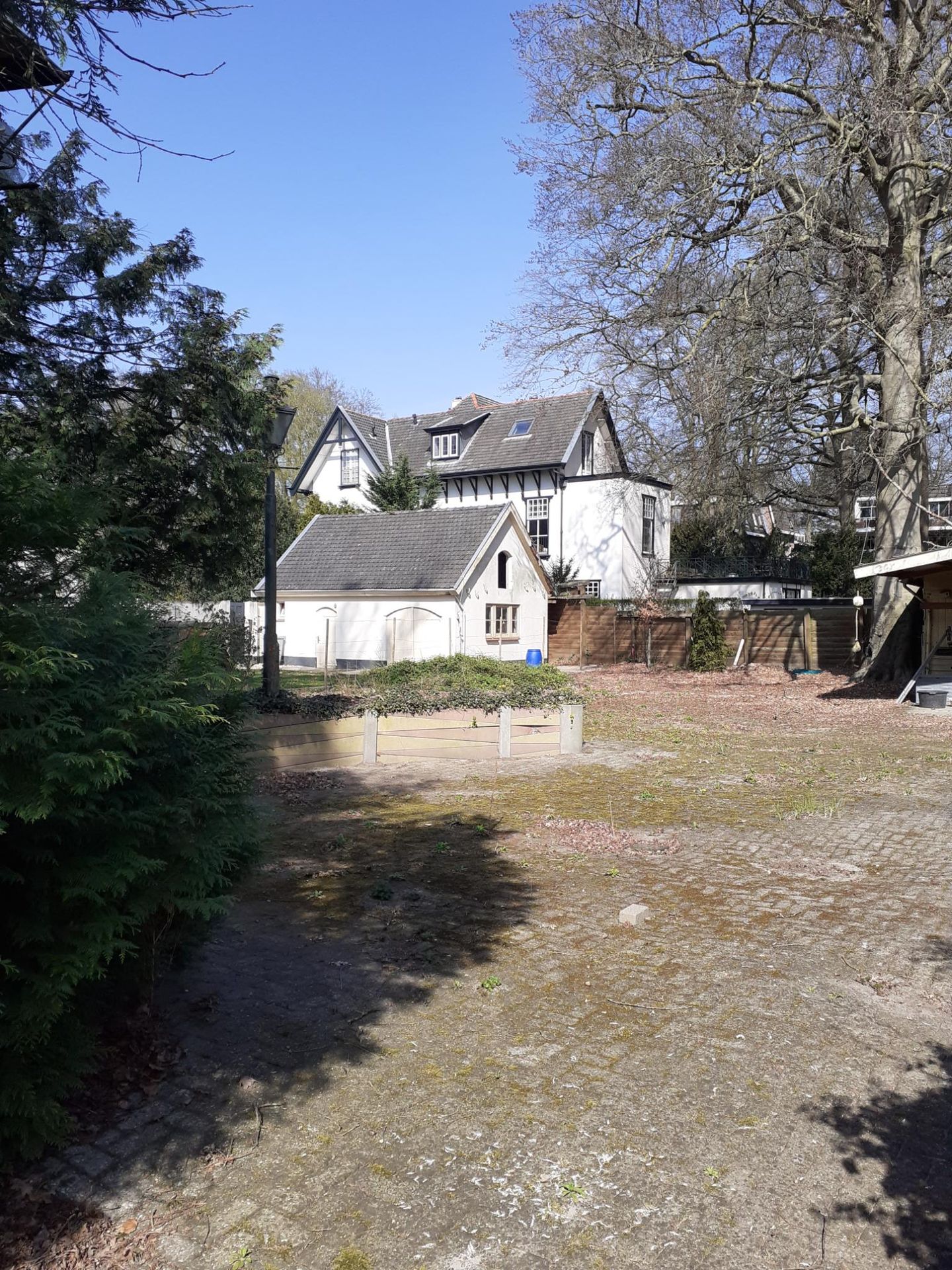 Foto 4 van Berkenlaan