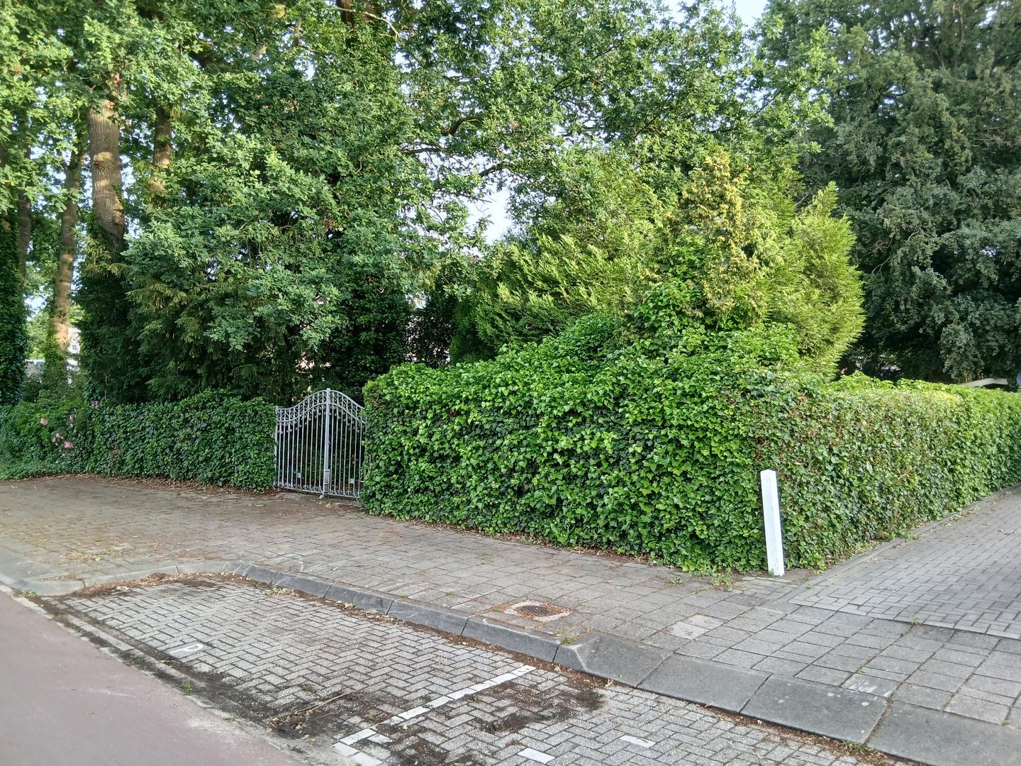 Foto 29 van Berkenlaan