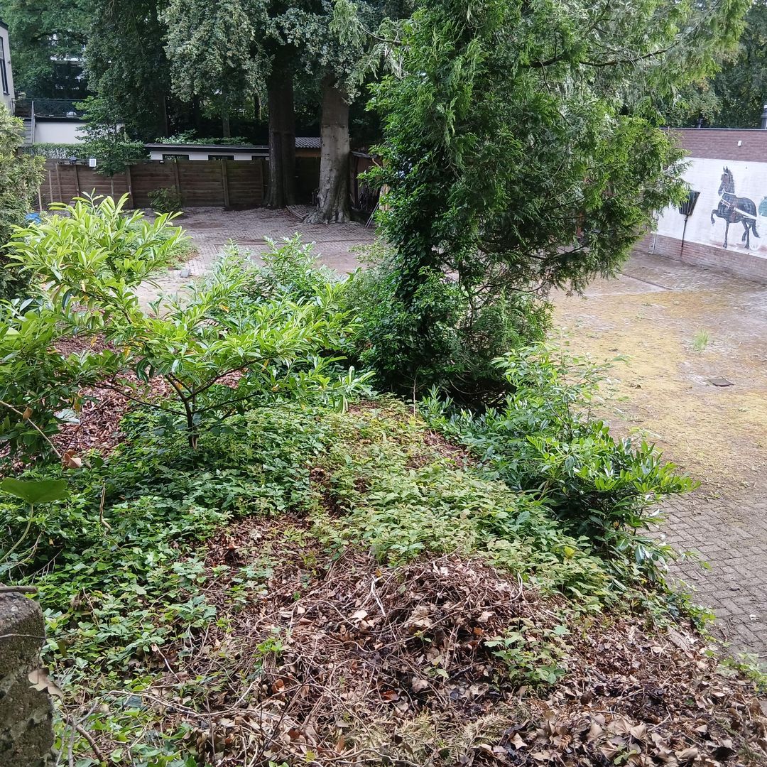 Foto 16 van Berkenlaan