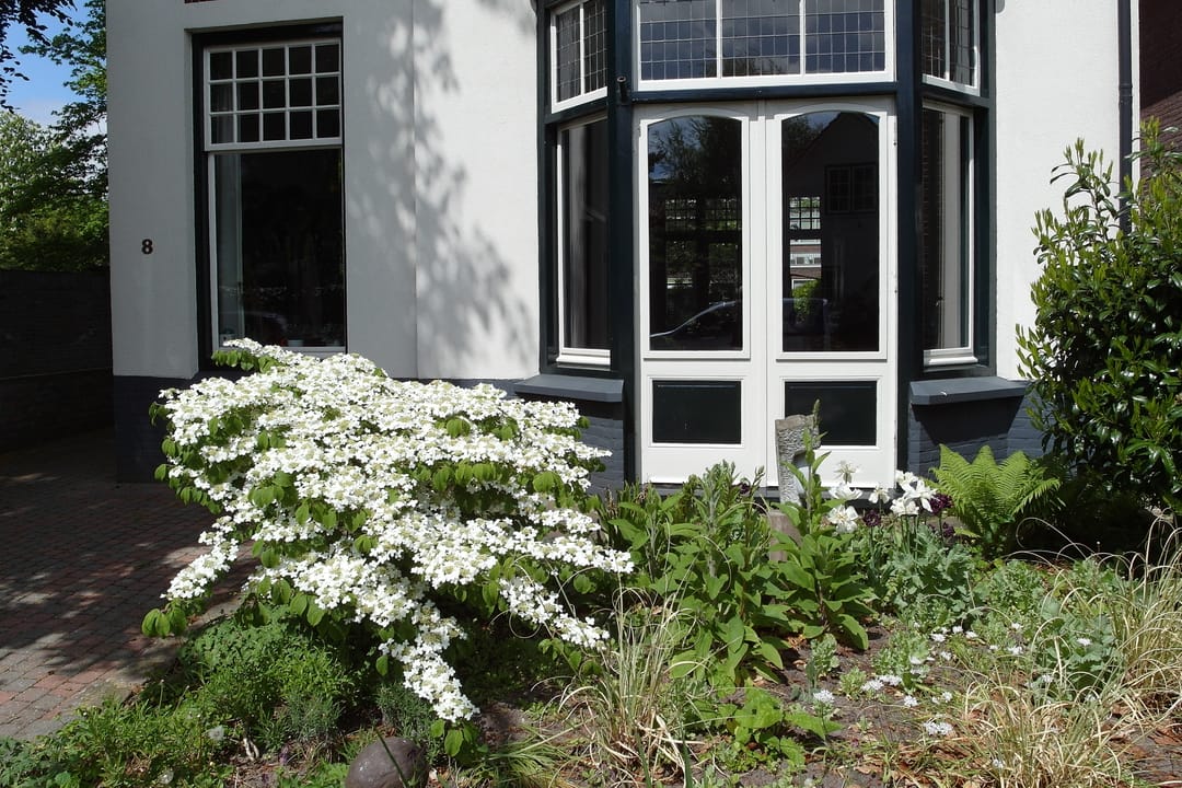 Photo 38 of Bethaniëlaan 8