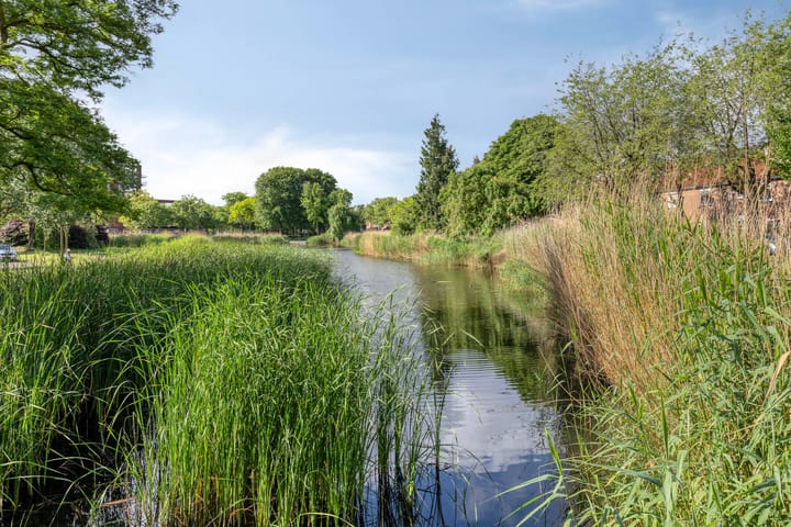 Foto 4 van Botter 8