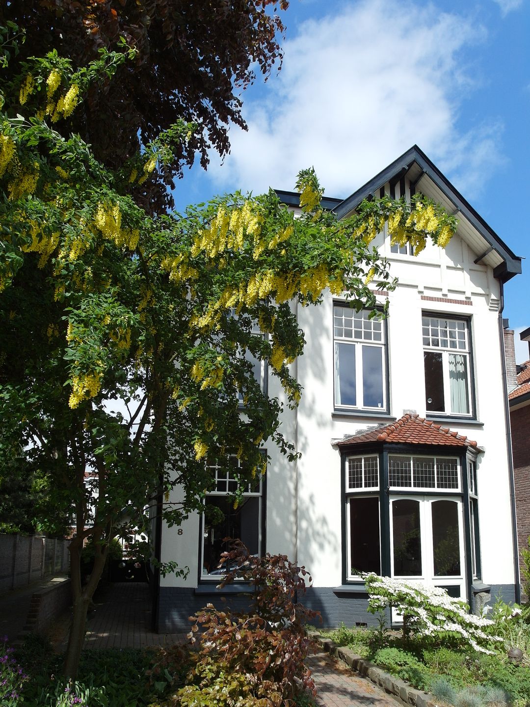 Photo 37 of Bethaniëlaan 8
