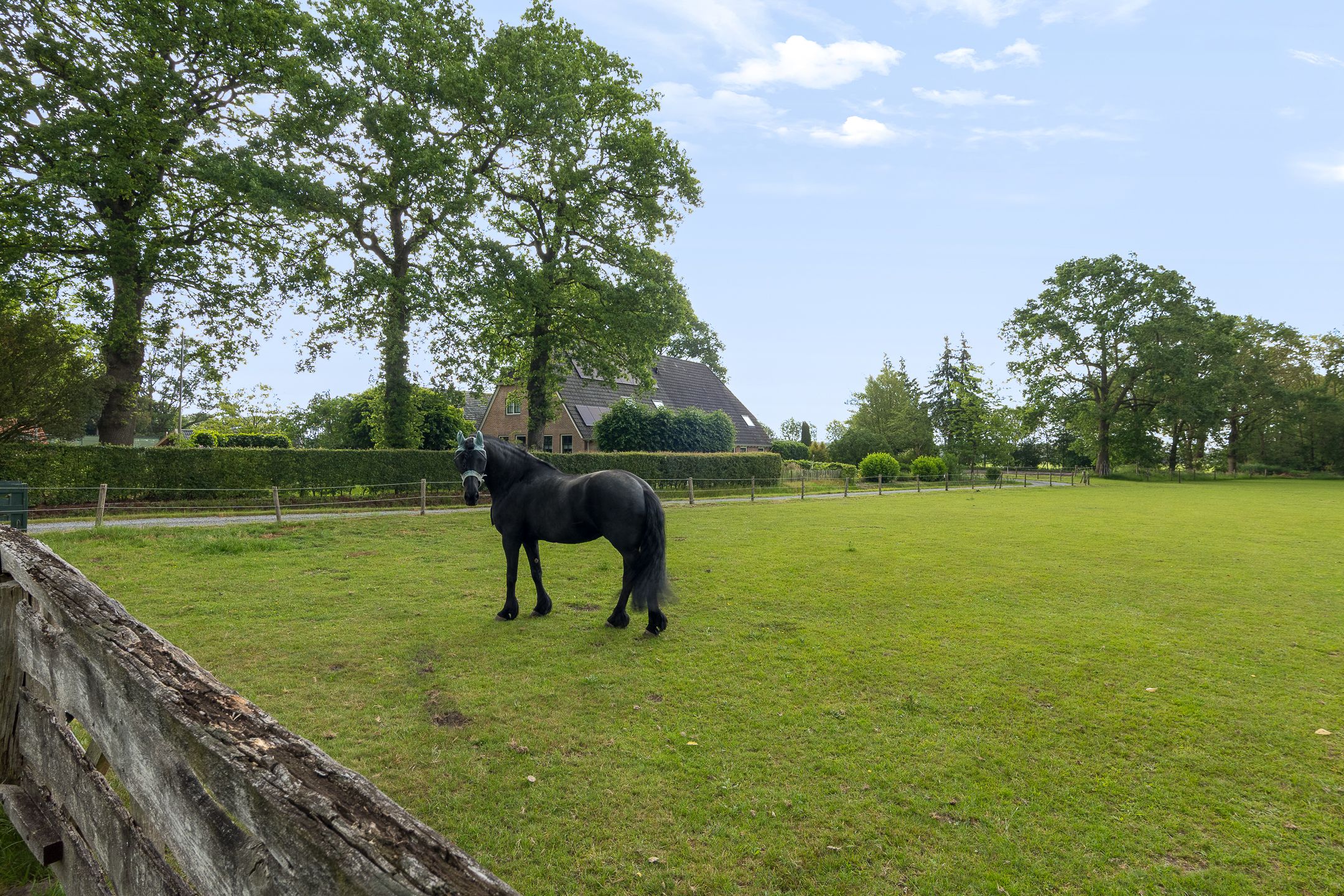 Foto 48 van Het Binnenveld 14