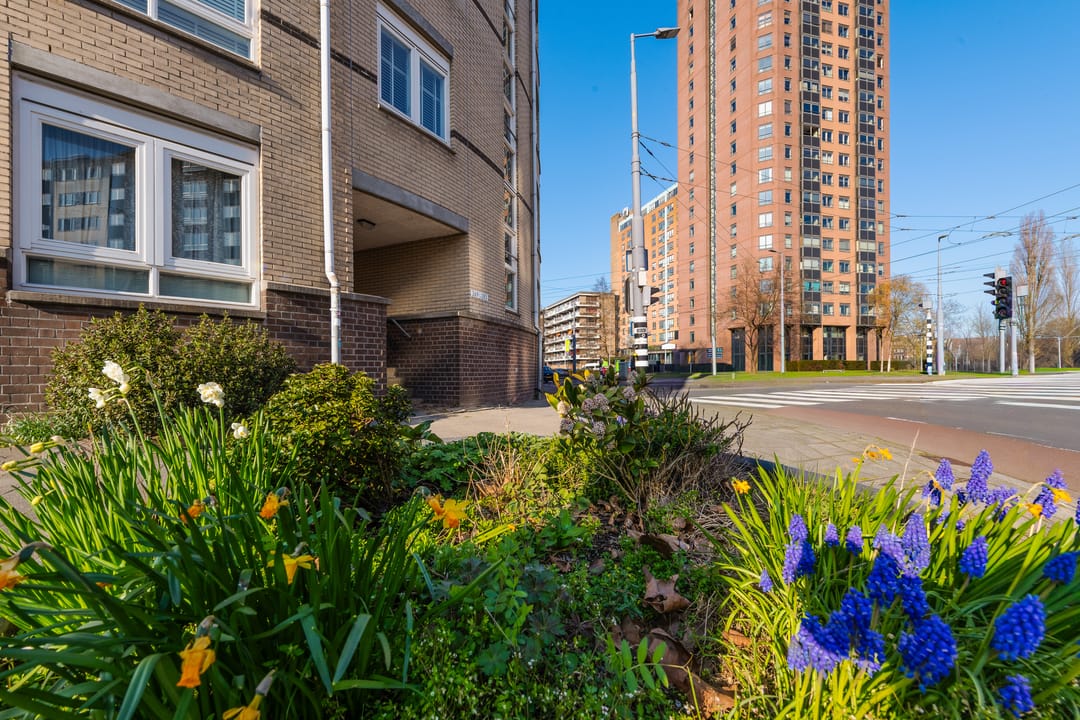 Spacious Ground Floor Apartment with Garden Near Kralingen — 37