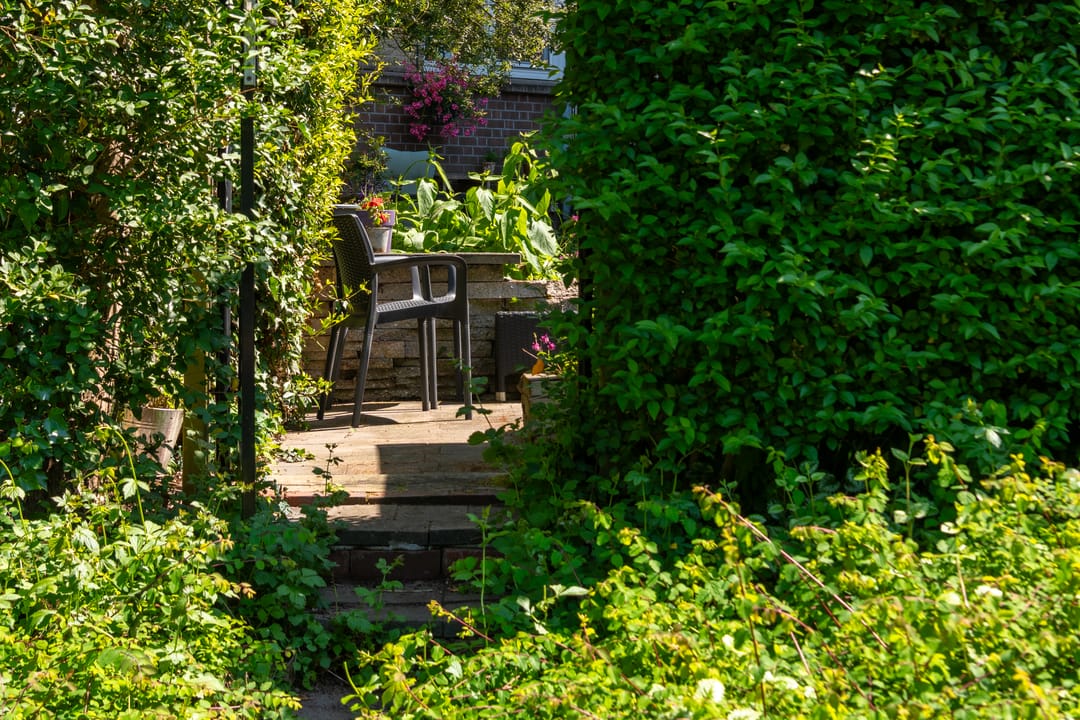 Spacious Ground Floor Apartment with Garden Near Kralingen — 28