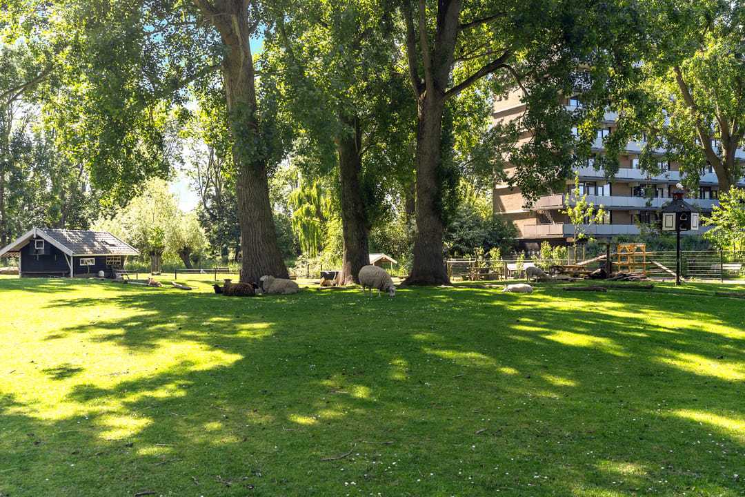 Spacious Double Upper-Floor Apartment with Balcony and Green Views in Leiden — 31