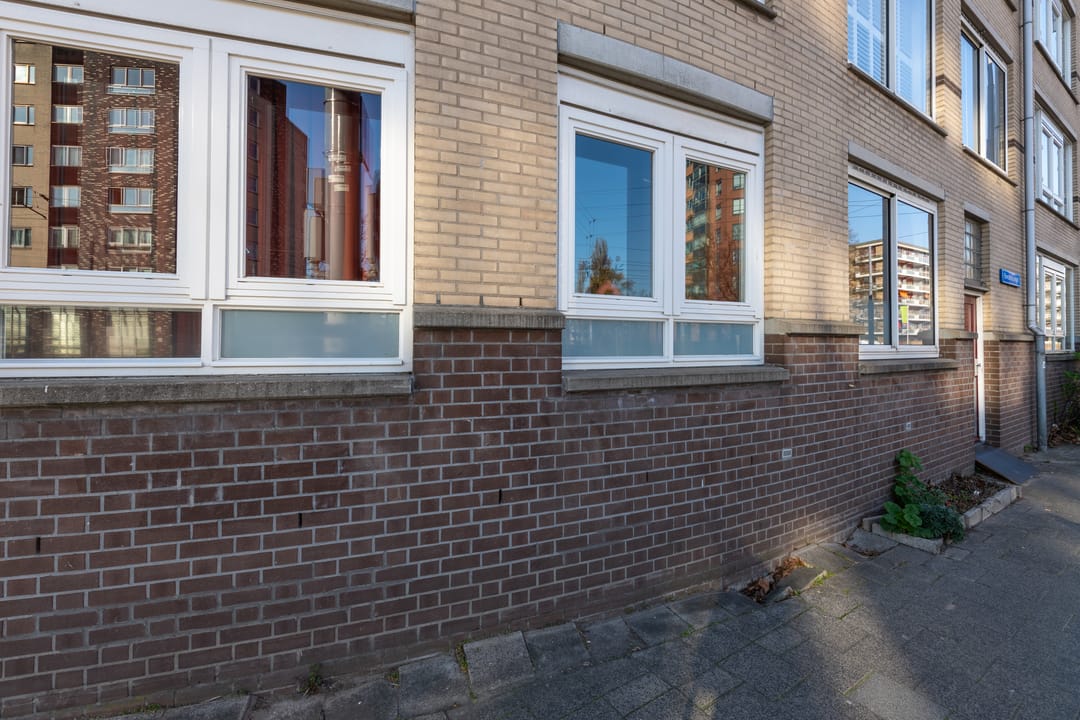 Spacious Ground Floor Apartment with Garden Near Kralingen — 38