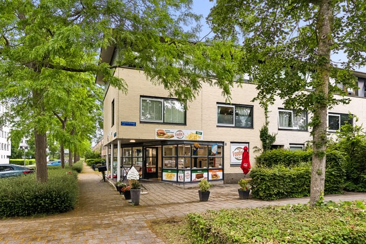 Foto 4 van Gleditsiastraat 48