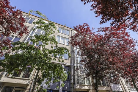 Van Ostadestraat thumbnail