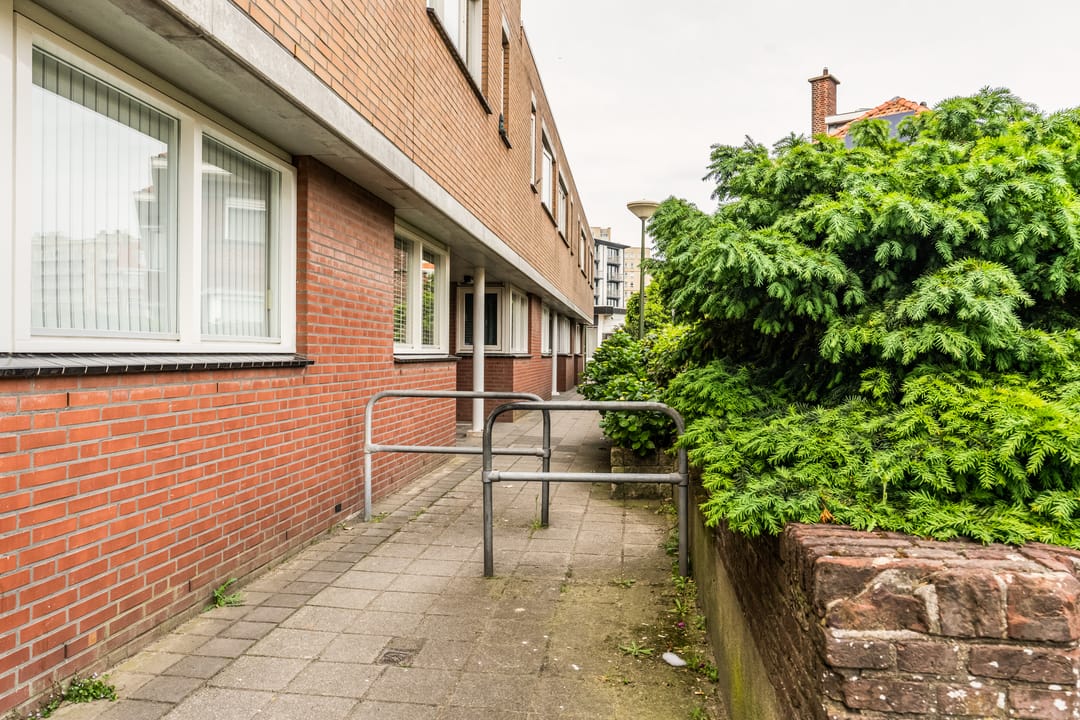 Bright Terraced House with Sunny Southwest Garden in Belgisch Park — 7