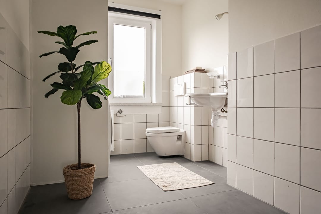 Spacious Upper Floor Apartment with Canal Views in Haarlem — 16