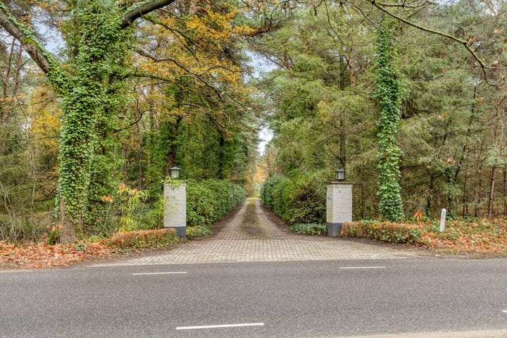 Foto 5 van Maaij 9