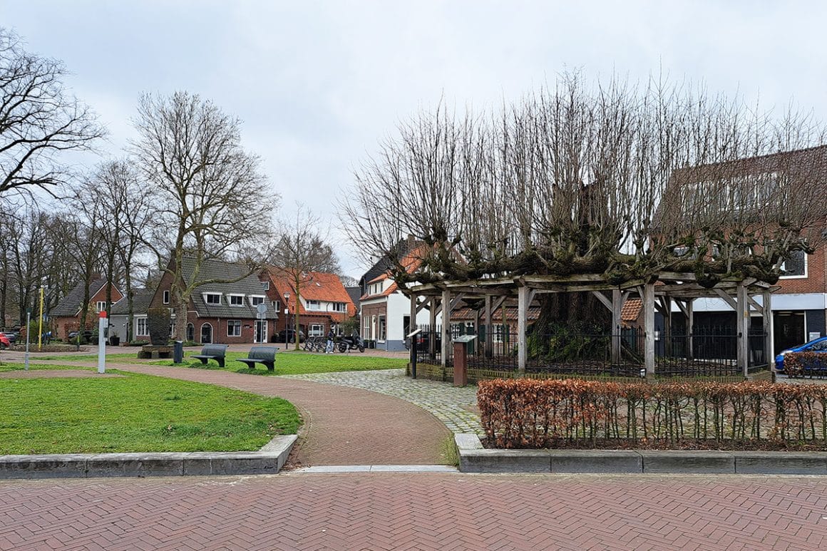 Foto 45 van De Hovenier 10
