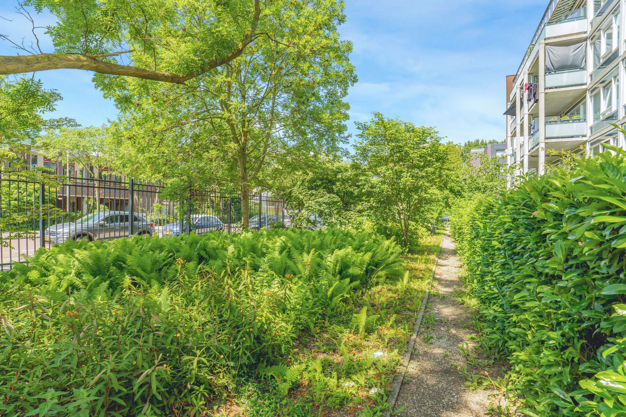 Spacious Four-Room Apartment with Southwest-Facing Terrace in Osdorp — 36
