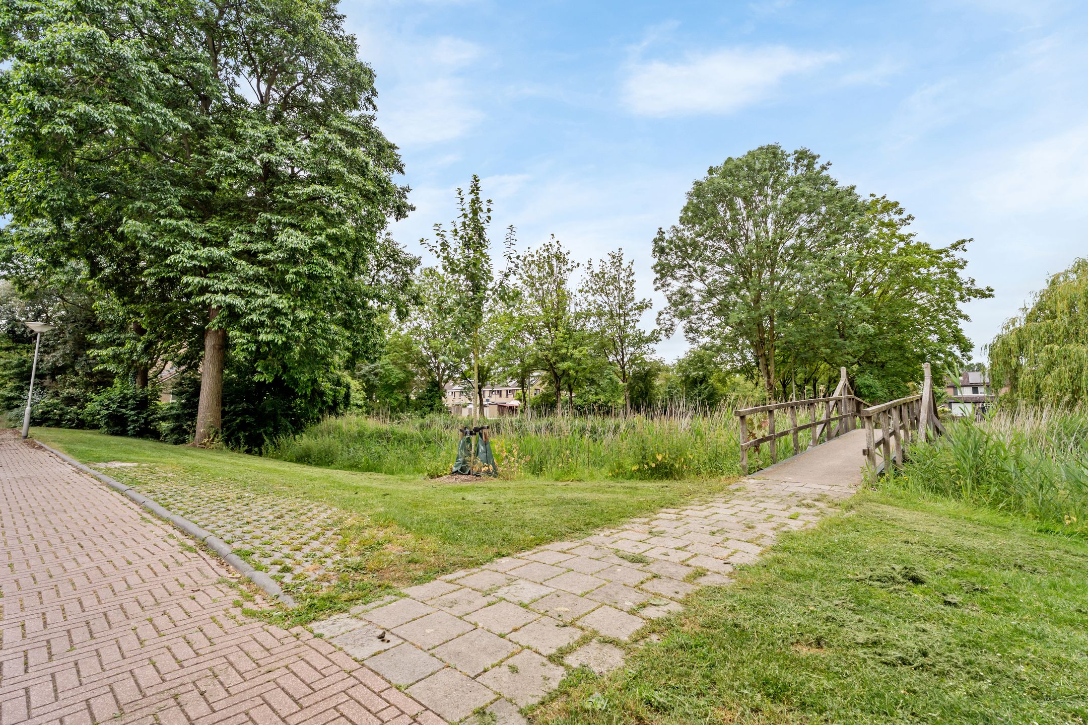 Photo 33 of Rijkenspad 17