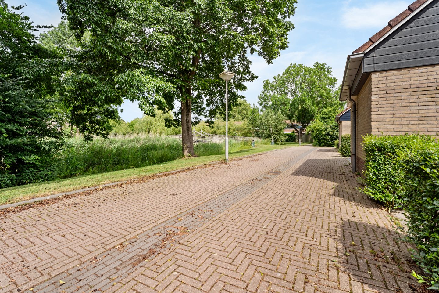 Photo 29 of Rijkenspad 17