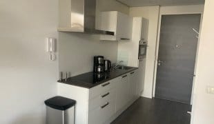 Foto 4 van Bomanshof 217-N