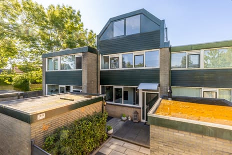 Constantijnstraat thumbnail