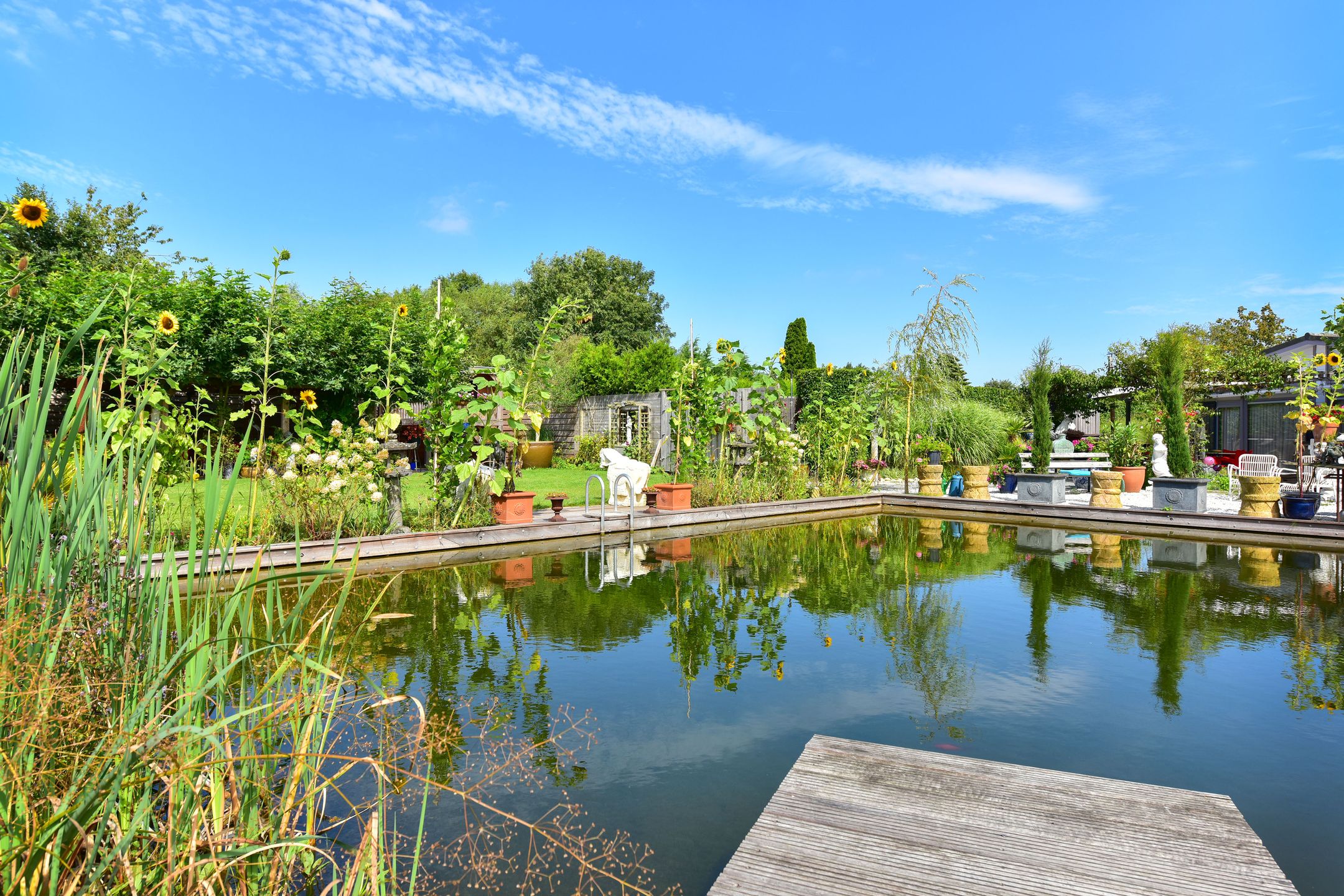 studio freehold villa in Nederhorst den Berg — photo 4 of 5