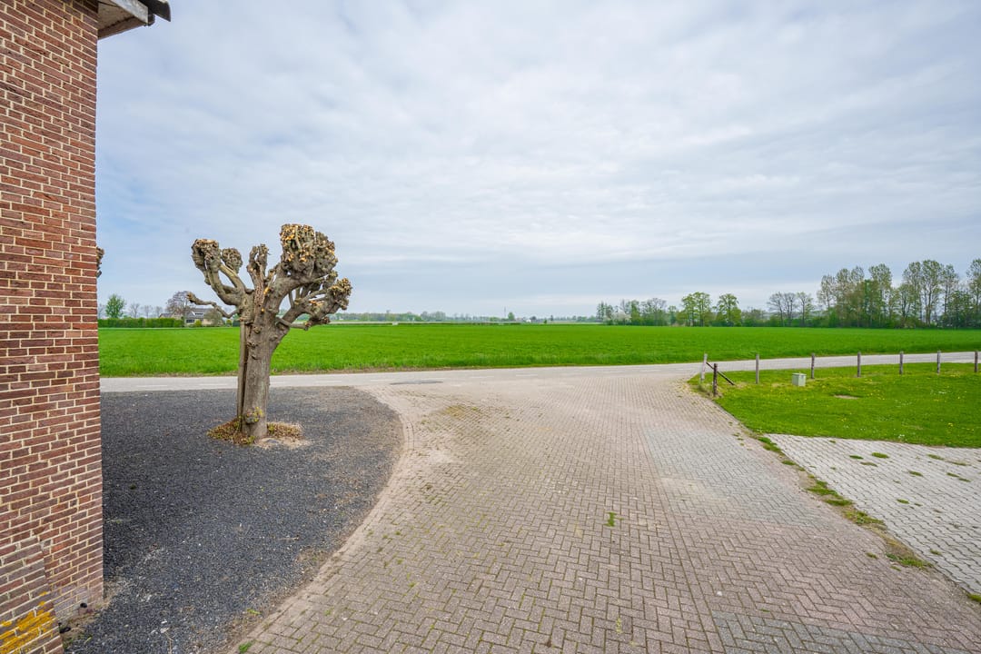 Photo 13 of Woerd 43