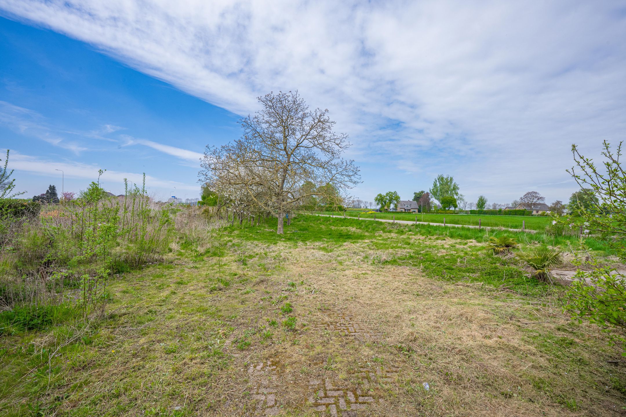 Photo 21 of Woerd 43