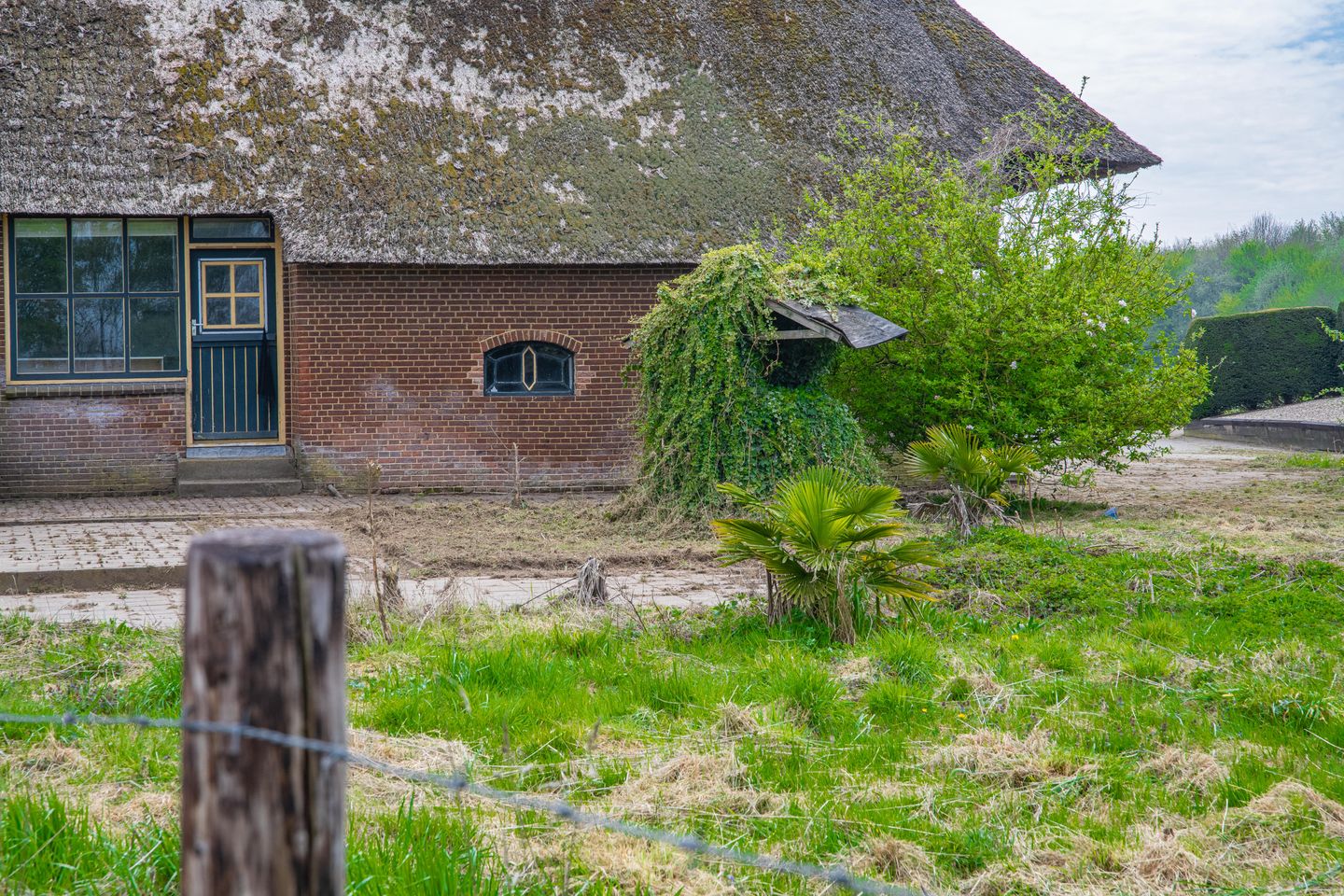 Photo 29 of Woerd 43