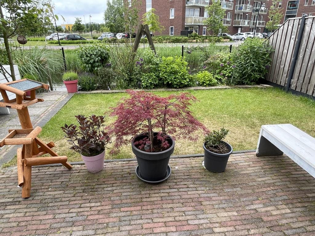 Foto 16 van Straat van Gibraltar 30