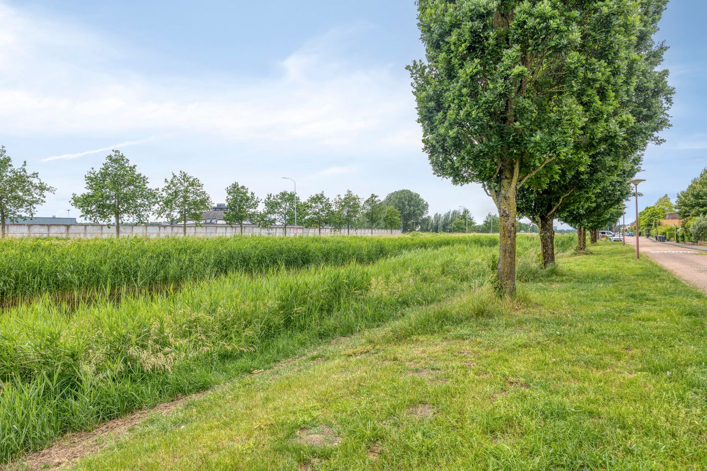 Foto 49 van Oostermoer 19