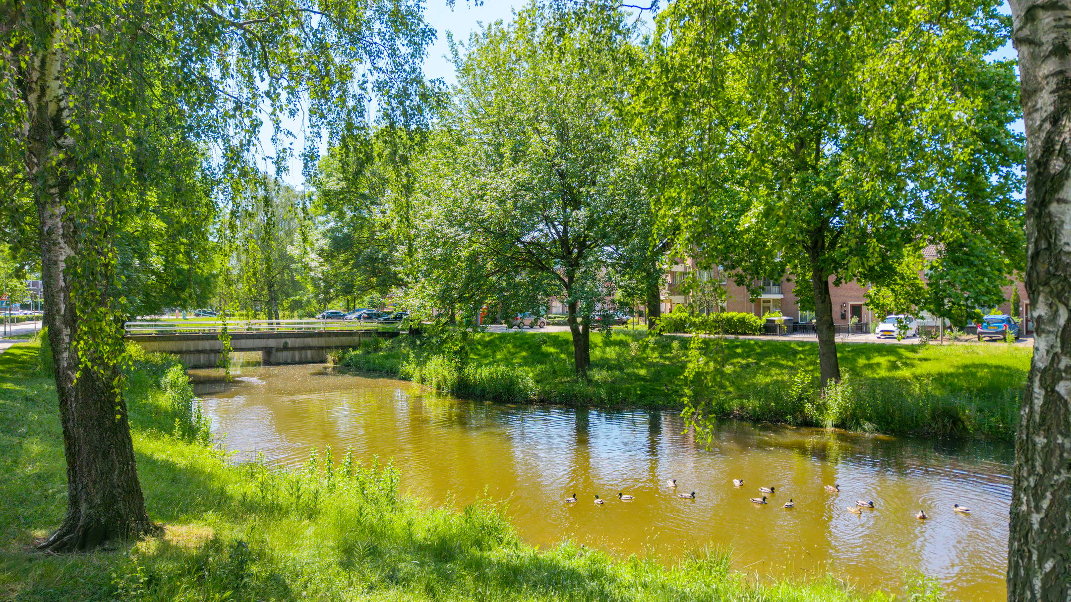 Foto 42 van Fleringen 71