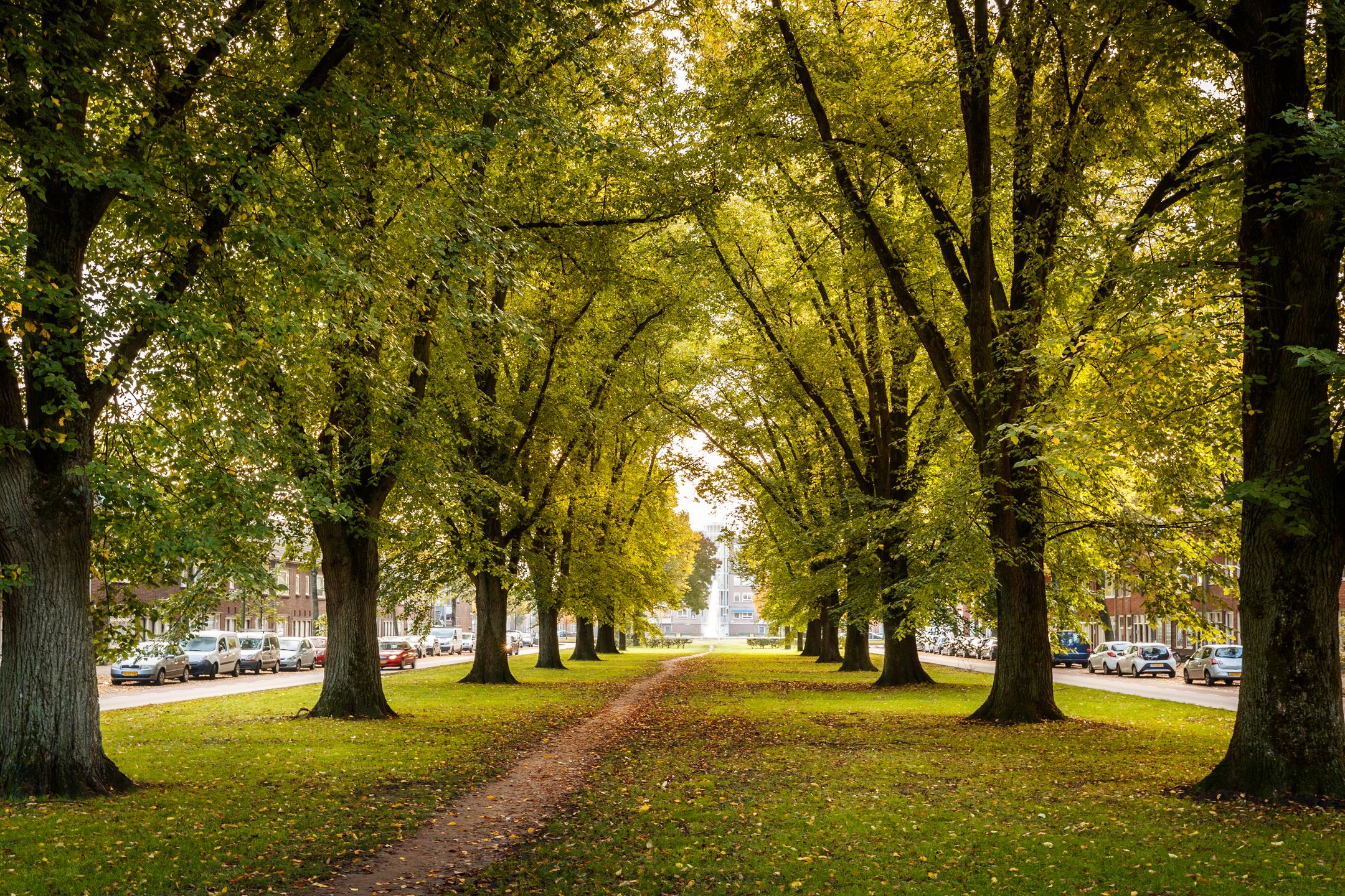 Photo 30 of Stephensonstraat 13-BS