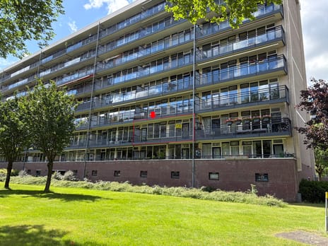 Goudvinklaan thumbnail