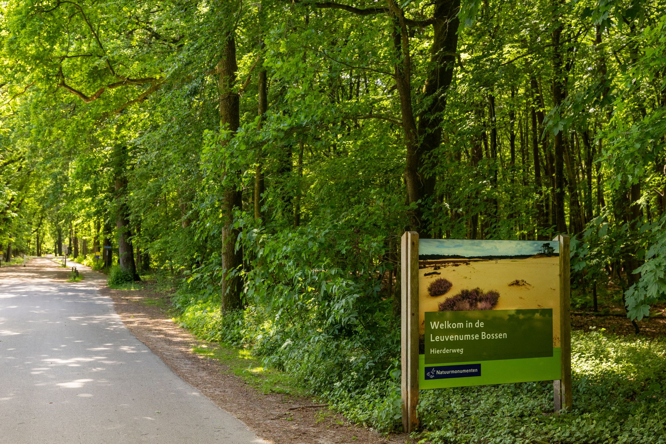 Foto 42 van Hierderweg 19