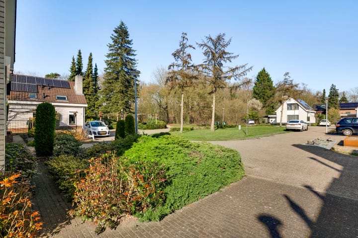 Photo 4 of Willinkhof 9