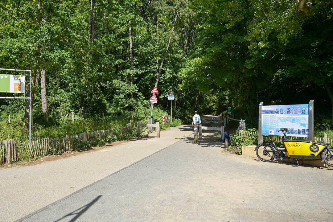 Foto 43 van Wildhoeflaan 2
