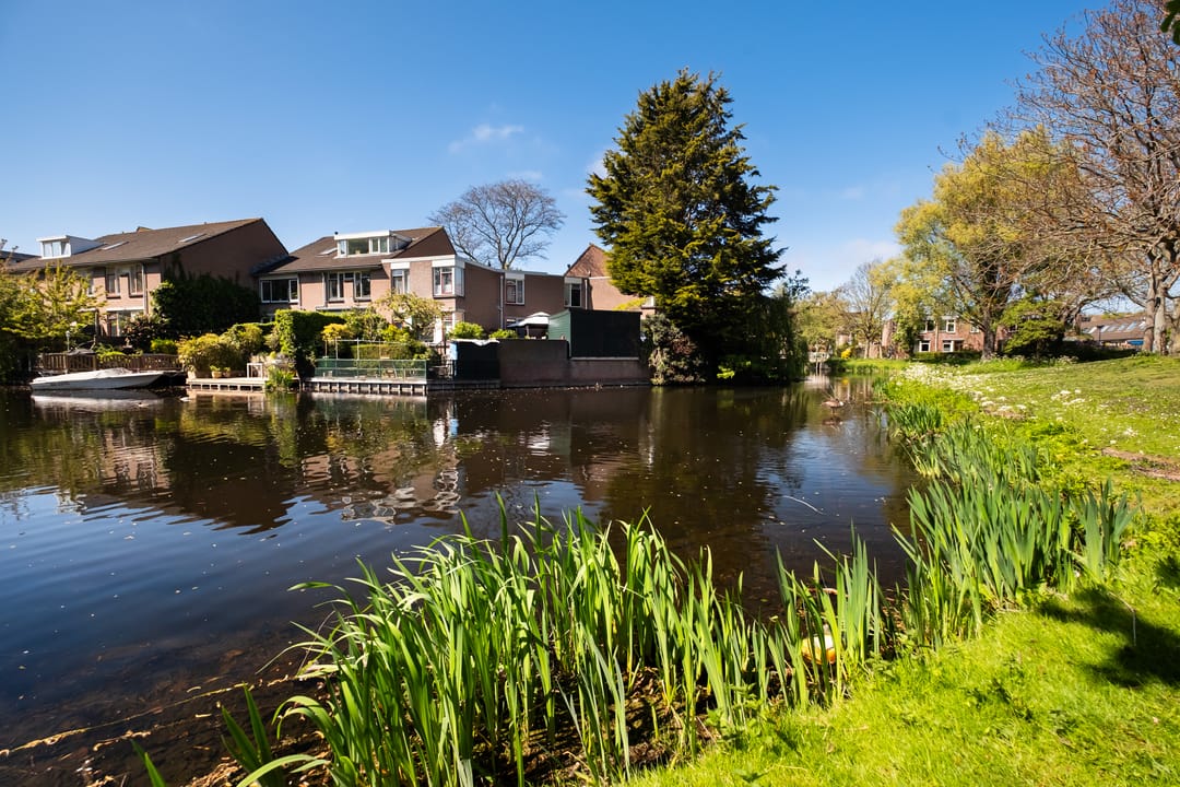 Foto 43 van King Olivereiland 34