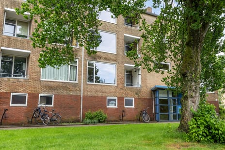 Dierenriemstraat thumbnail