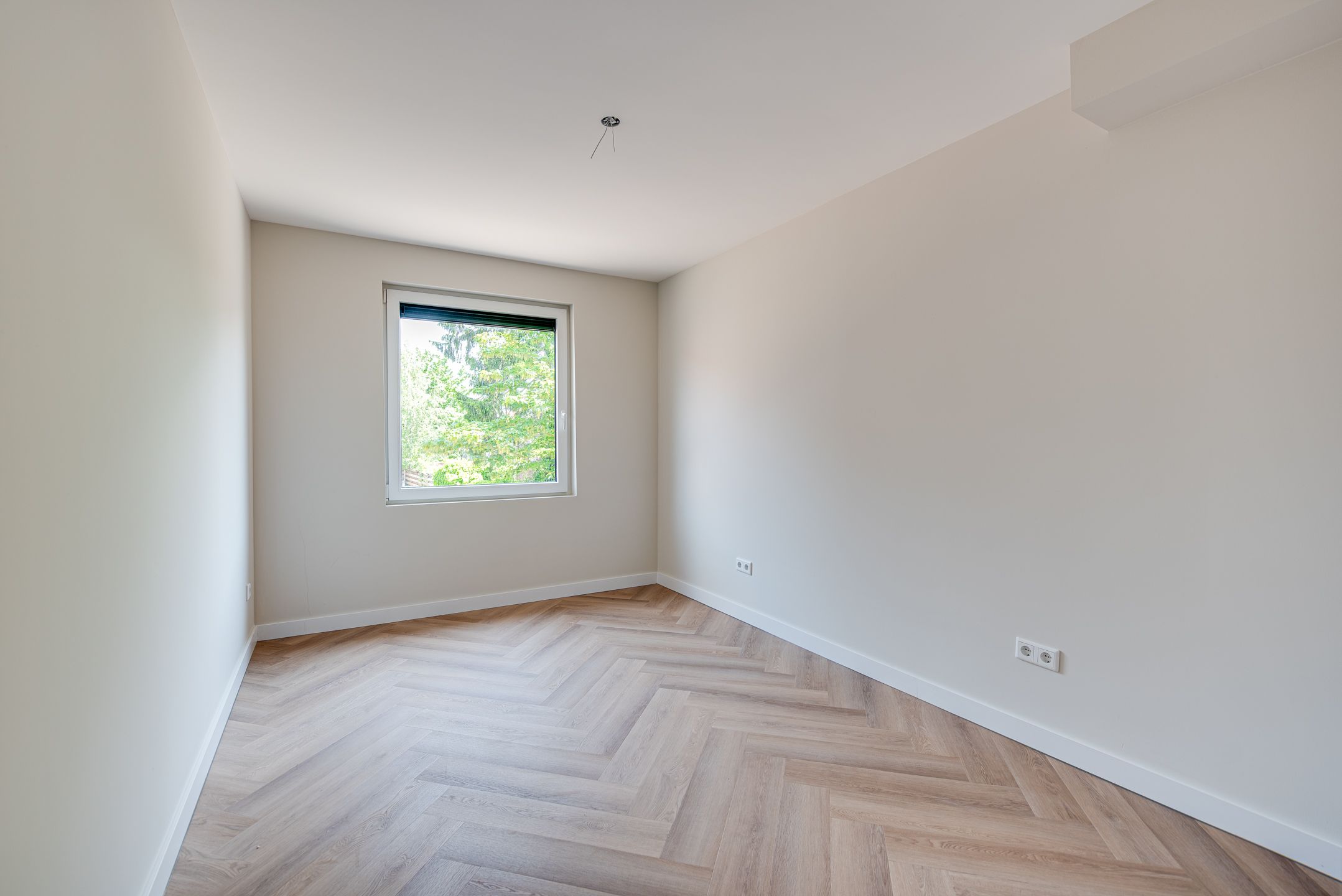 Photo 12 of Molenstraat 16