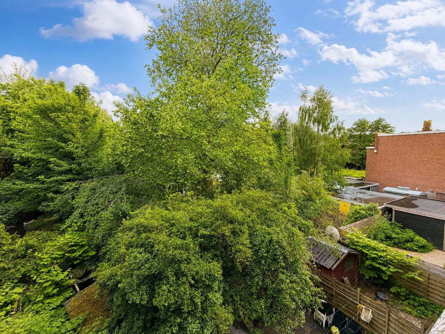 Characterful 2-Room Apartment with Sunny Balconon in Rotterdam-Delfshaven — 19