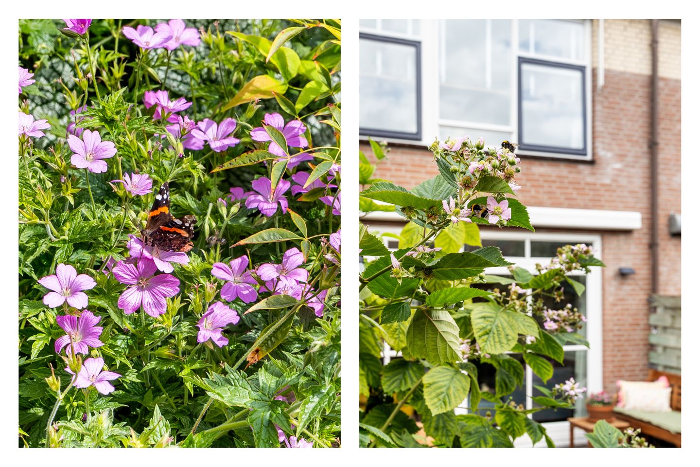 Ready-to-Move Family Home with Sunny South-Facing Garden in Popular Buitenhof Neighborhood — 20