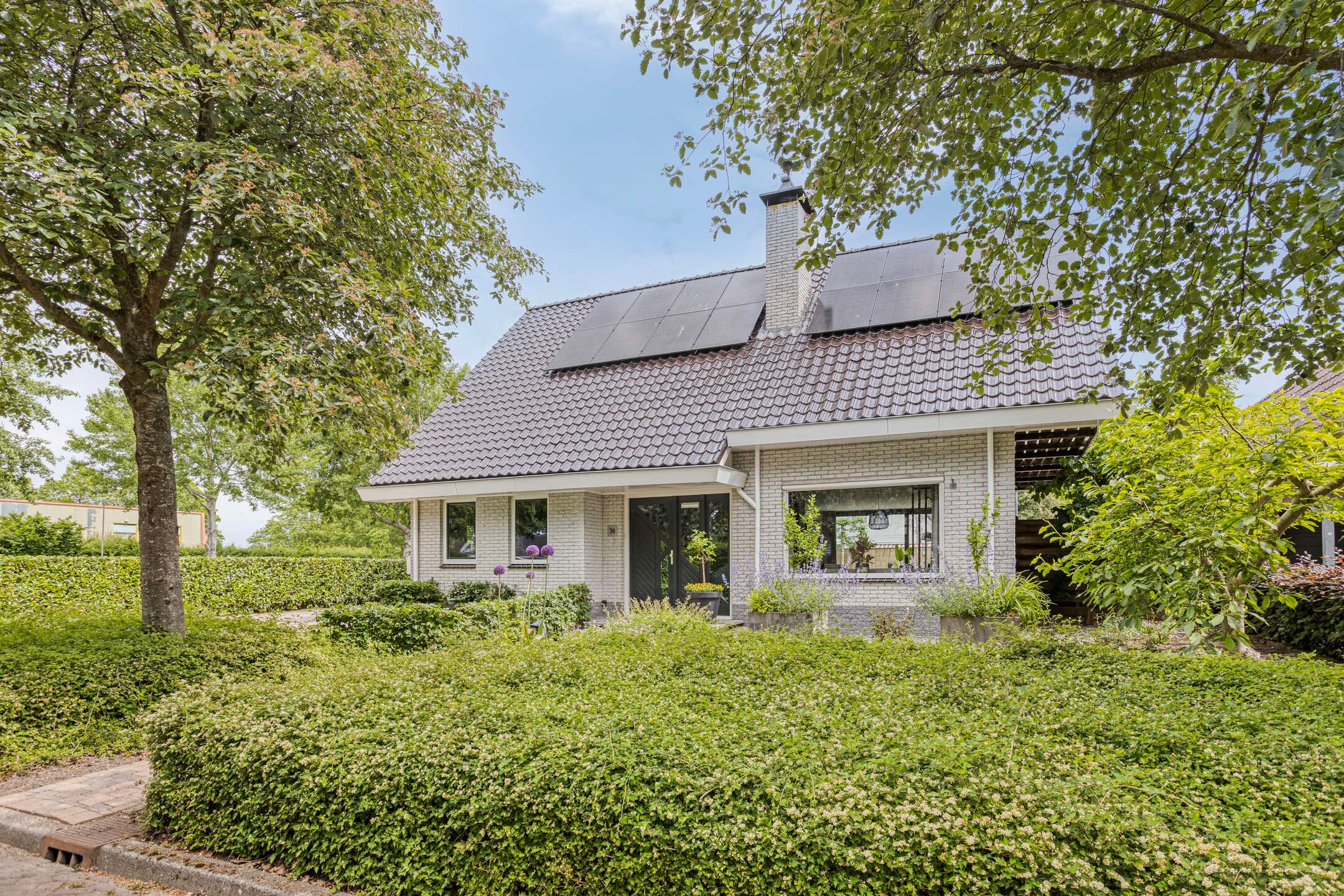 Foto 45 van De Brogge 36
