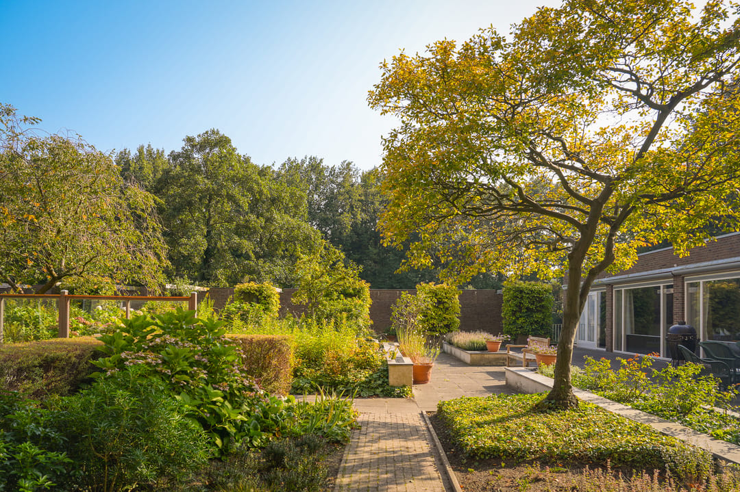 Light and Comfortable Service Apartment with Green Views in Eikendonck — 22