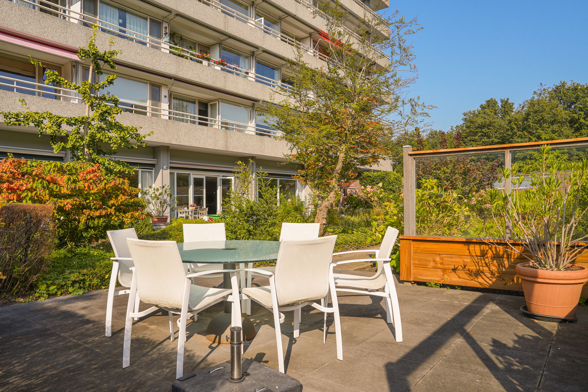 Light and Comfortable Service Apartment with Green Views in Eikendonck — 21