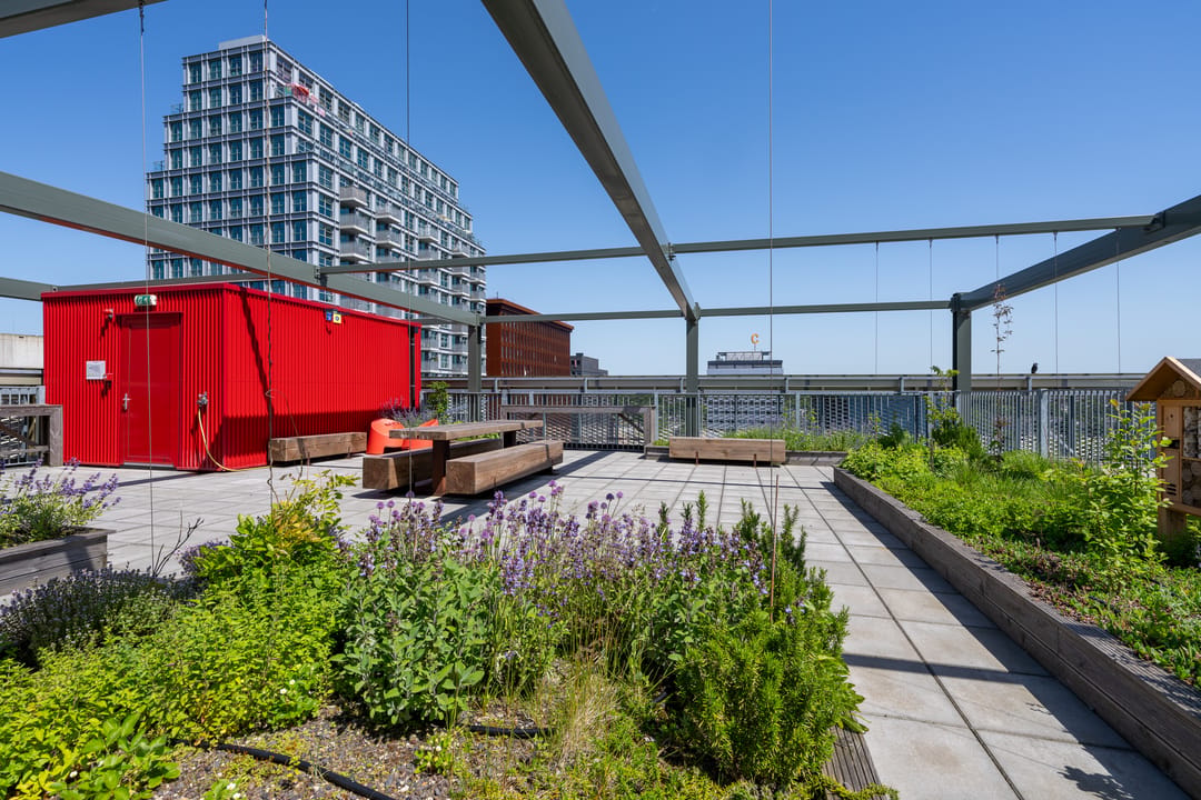 Modern Three-Room Apartment with Panoramic Views on NDSM-Wharf — 37